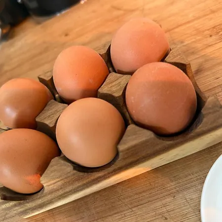 La Saint Jean Bas De Appartamento