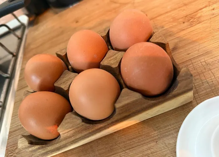 La Saint Jean Bas De Lägenhet