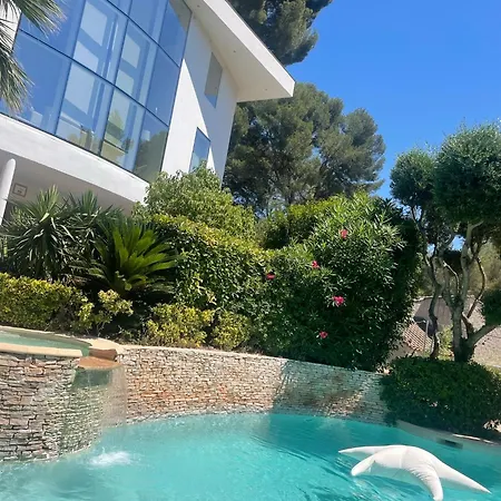 La Saint Jean Bas De La Ciotat