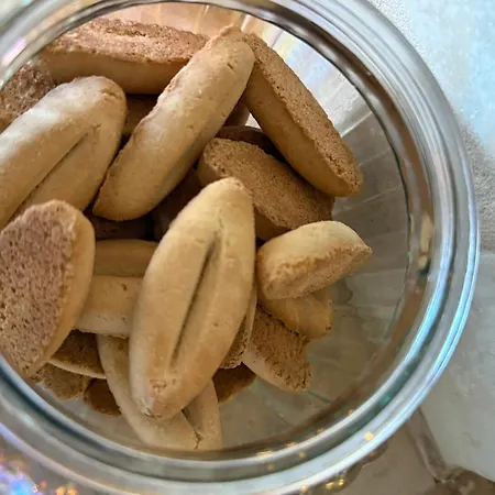 La Saint Jean Bas De Apartment